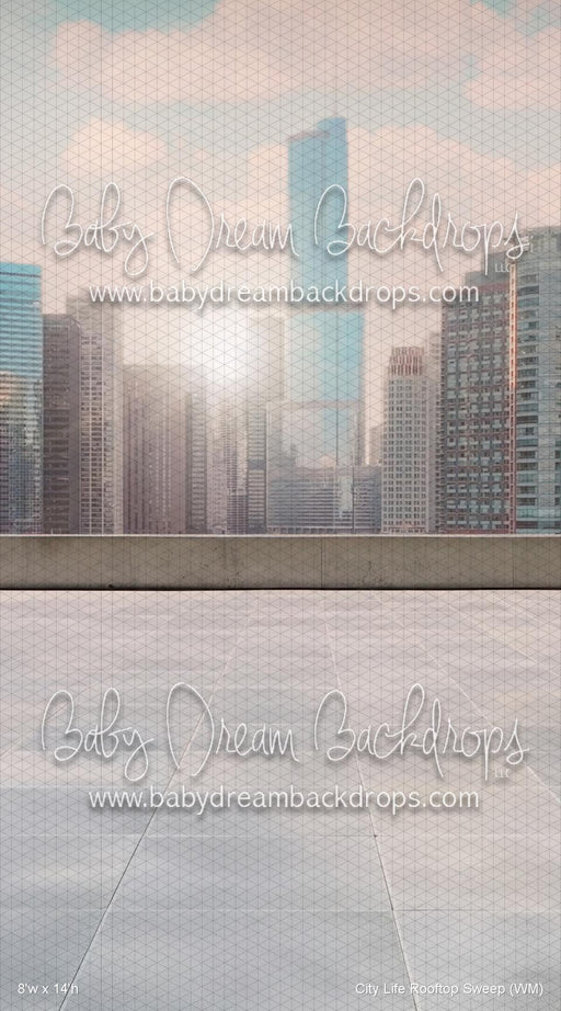 City Life Rooftop Sweep (WM)