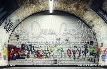 City Life Subway Arch (WM) — Baby Dream Backdrops
