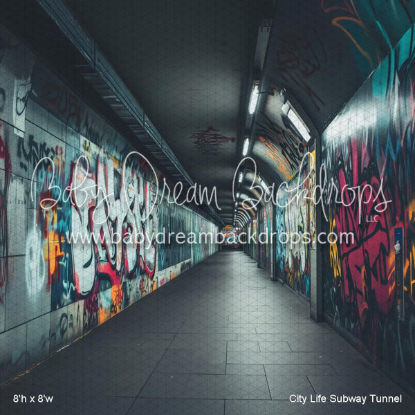 X Drop City Life Subway Tunnel (WM)