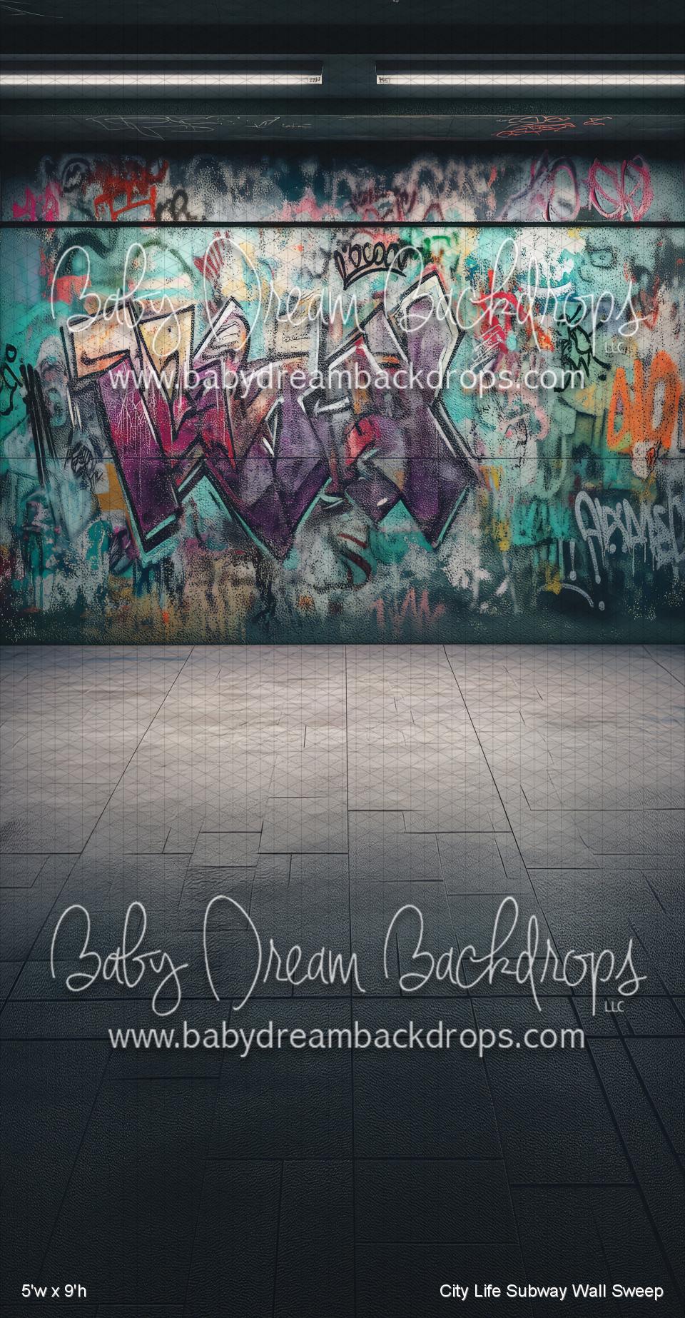 City Life Subway Wall Sweep (WM) — Baby Dream Backdrops