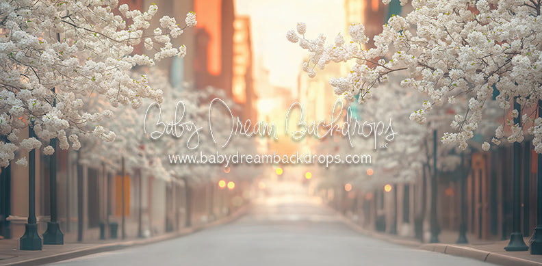 City Street Spring (CC)