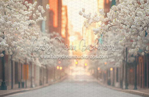 City Street Spring (CC)