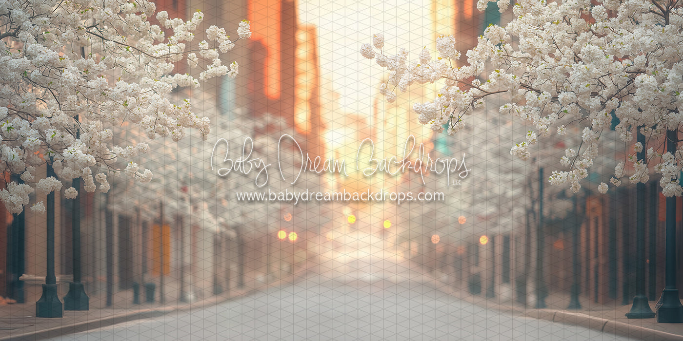 City Street Spring (CC)