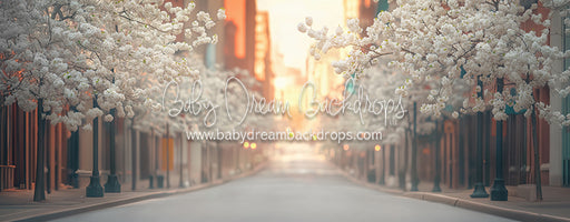 City Street Spring (CC)