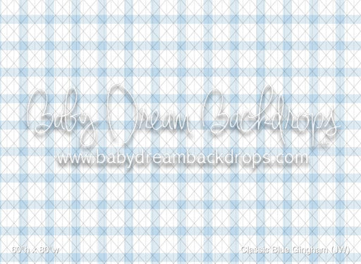 Classic Blue Gingham (JW)