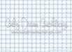 Classic Blue Gingham (JW)