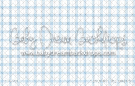 Classic Blue Gingham (JW)
