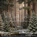 Claus Fishing Forest (CC)