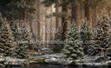 Claus Fishing Forest (CC)