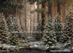 Claus Fishing Forest (CC)