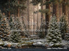 Claus Fishing Forest (CC)