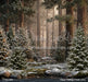 Claus Fishing Forest (CC)