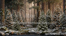 Claus Fishing Forest (CC)