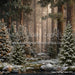 Claus Fishing Forest (CC)