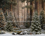 Claus Fishing Forest Snow Bottom (CC)