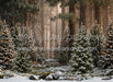 Claus Fishing Forest Snow Bottom (CC)
