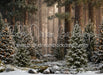 Claus Fishing Forest Snow Bottom (CC)