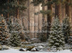 Claus Fishing Forest Snow Bottom (CC)