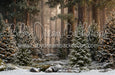 Claus Fishing Forest Snow Bottom (CC)