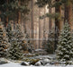 Claus Fishing Forest Snow Bottom (CC)