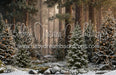 Claus Fishing Forest Snow Bottom (CC)