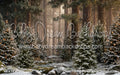 Claus Fishing Forest Snow Bottom (CC)