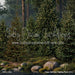Claus Summer Fishing Pond (CC)