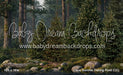 Claus Summer Fishing Pond (CC)