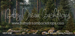 Claus Summer Fishing Pond (CC)