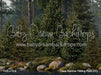 Claus Summer Fishing Pond (CC)