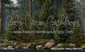 Claus Summer Fishing Pond (CC)