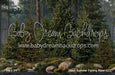 Claus Summer Fishing Pond (CC)