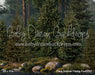 Claus Summer Fishing Pond (CC)