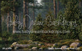 Claus Summer Fishing Pond (CC)