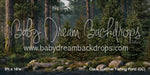 Claus Summer Fishing Pond (CC)
