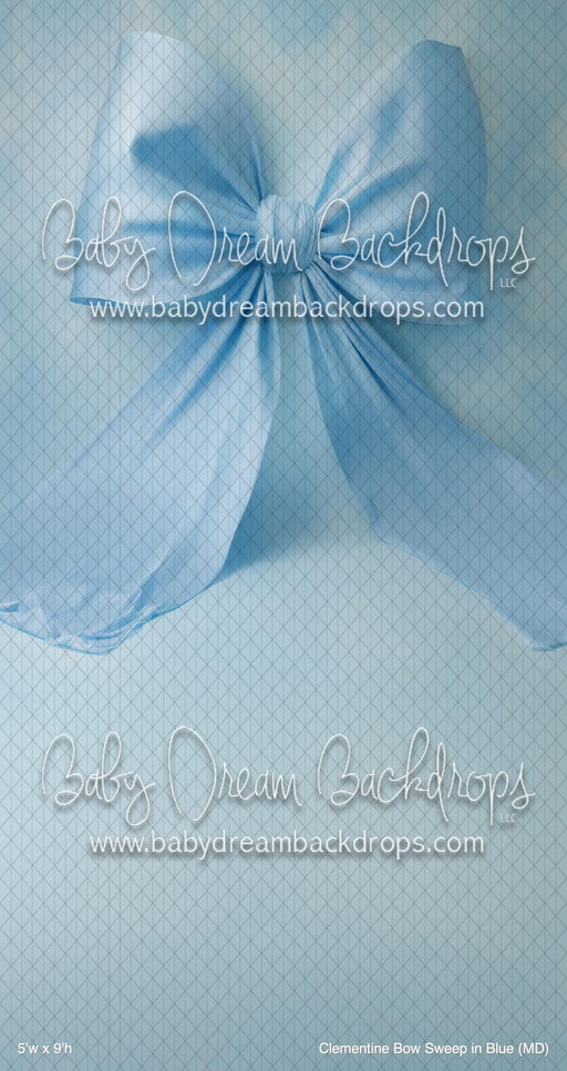 Clementine Bow Sweep in Blue (MD)