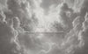 Cloudy Grays (CC)