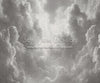 Cloudy Grays (CC)