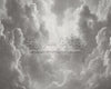 Cloudy Grays (CC)