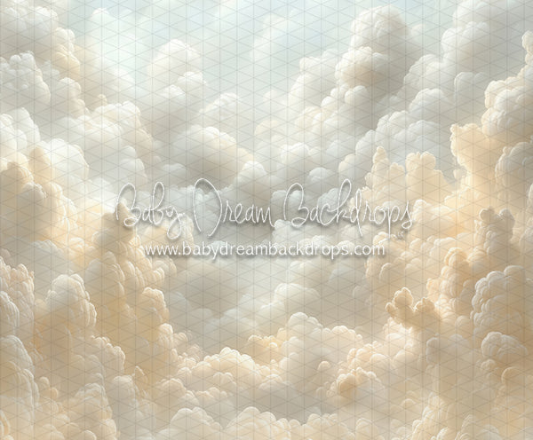 Cloudy Heirloom (CC)