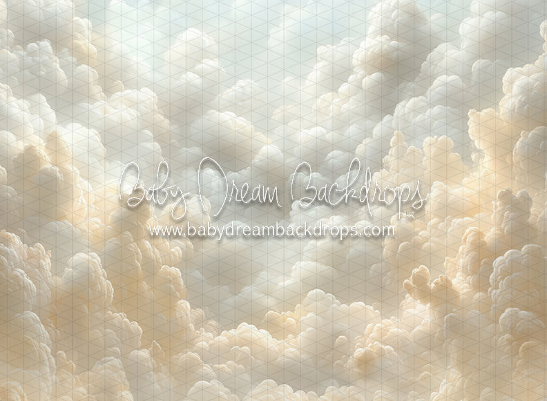 Cloudy Heirloom (CC)