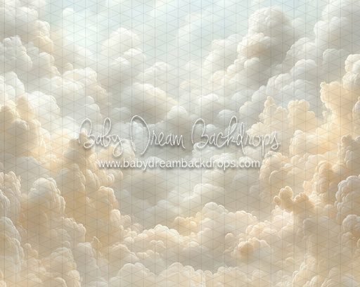 Cloudy Heirloom (CC)