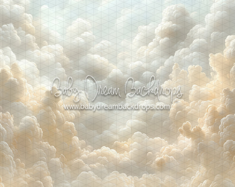 Cloudy Heirloom (CC)