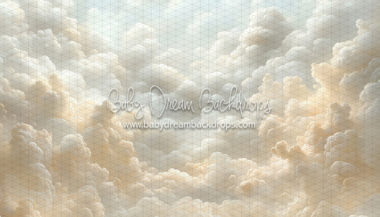 Cloudy Heirloom (CC)