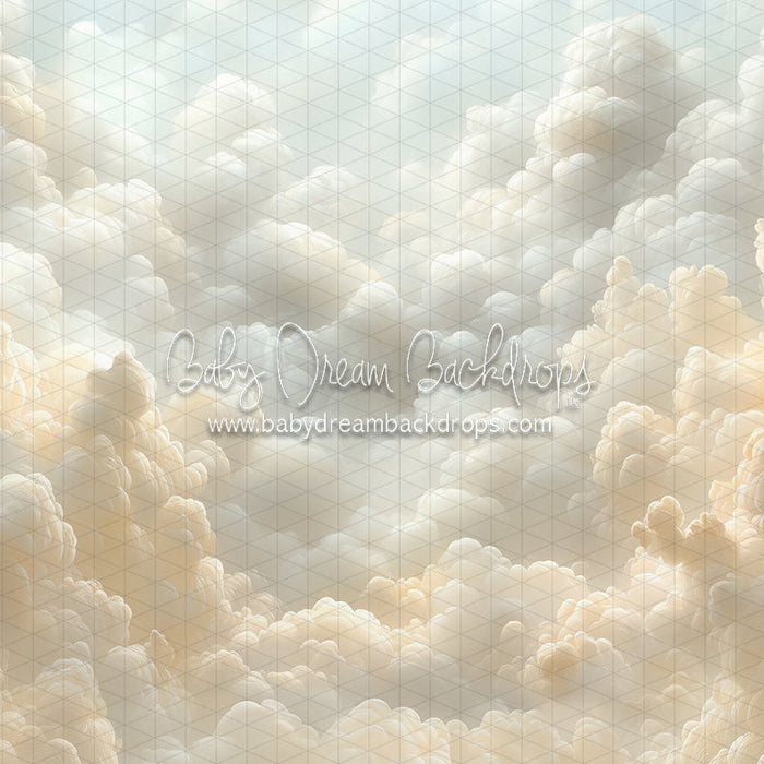 Cloudy Heirloom (CC)