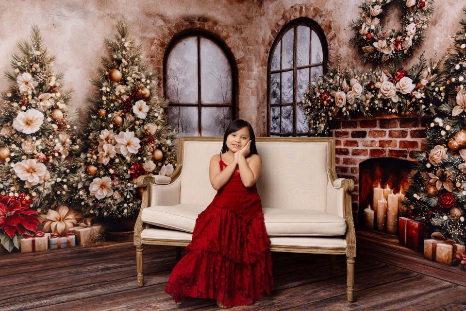 Room Coach House Christmas Fireplace + Coach House Christmas Window with Tree + Queen Anne Christmas Floor (VR)