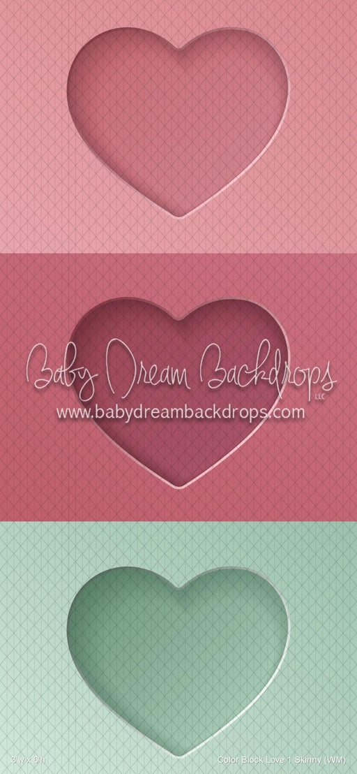 Color Block Love 1 Skinny (WM)