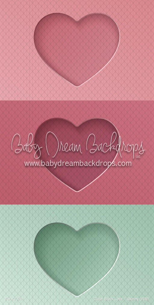 Color Block Love 1 Skinny (WM)