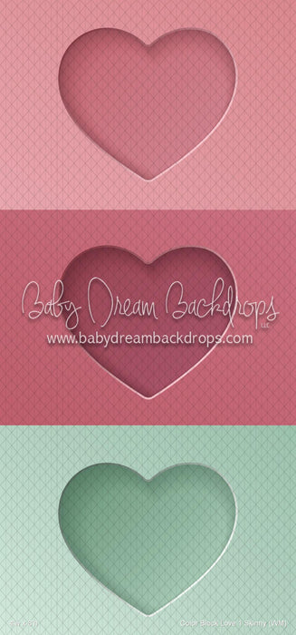 Color Block Love 1 Skinny (WM)