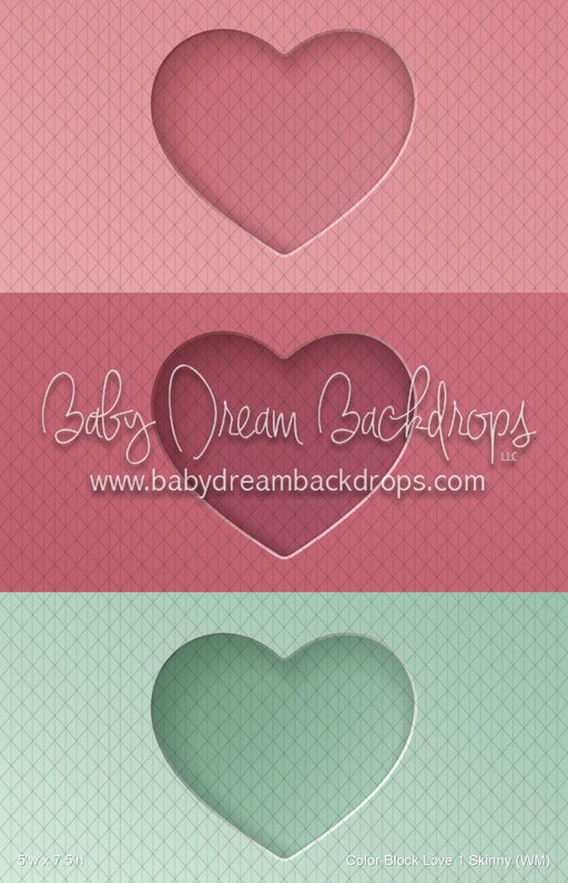 Color Block Love 1 Skinny (WM)